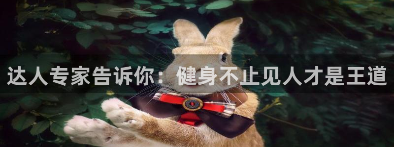 龙8国际最新官网
