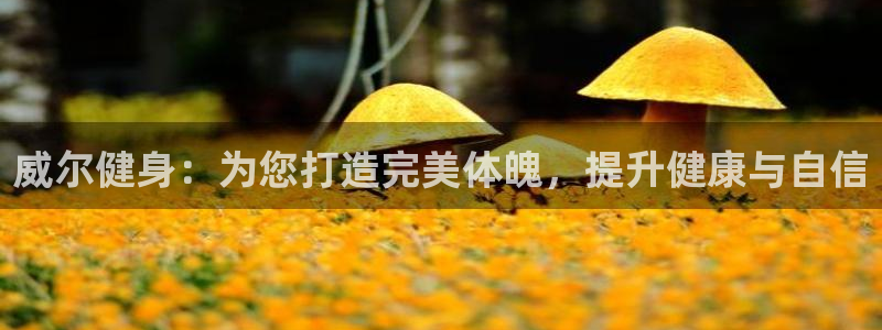 龙八国际app下载客户端