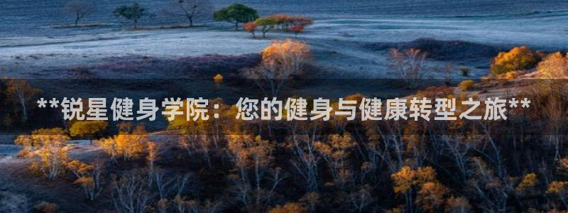 龙8国际官方网