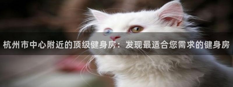 龙8国际app下载手机版