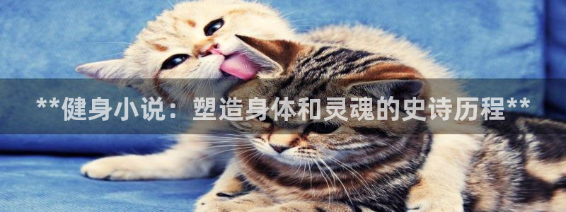 龙8国际游戏官方进入的介绍