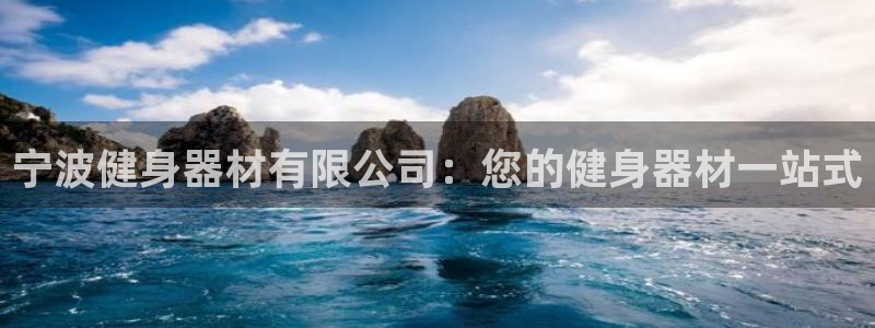 龙8国际网页版