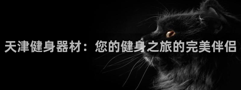 龙8国际的官方网站