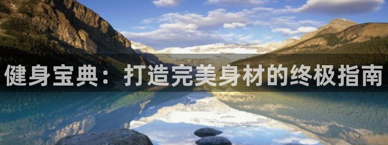 龙8app 国际