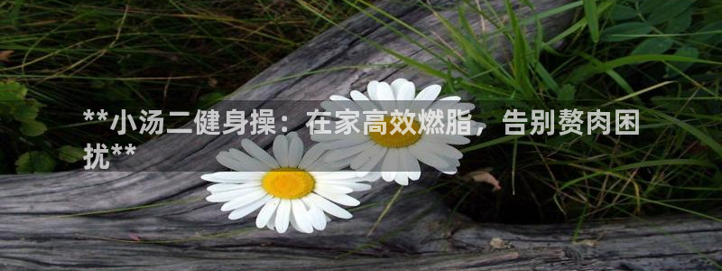 龙八国际娱乐在线游戏