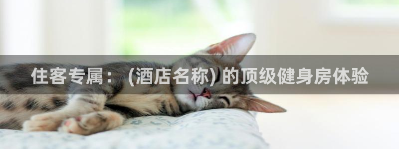 龙8国际游戏官方网站
