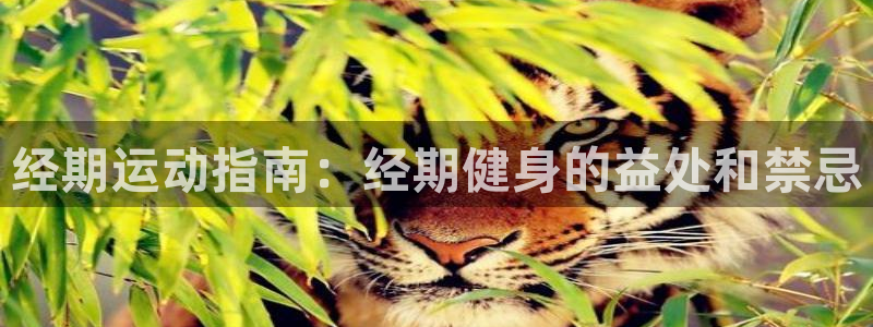 龙8国际最新官网