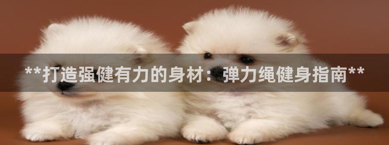 龙8国际官网娱乐