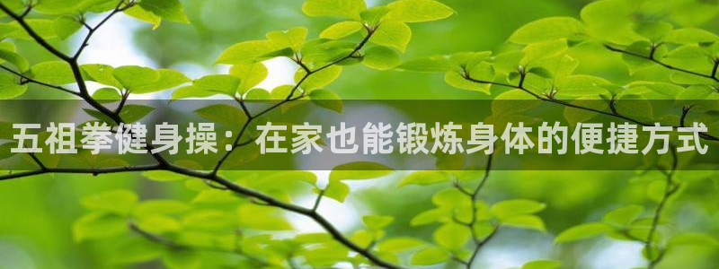 龙8游戏平台的网站