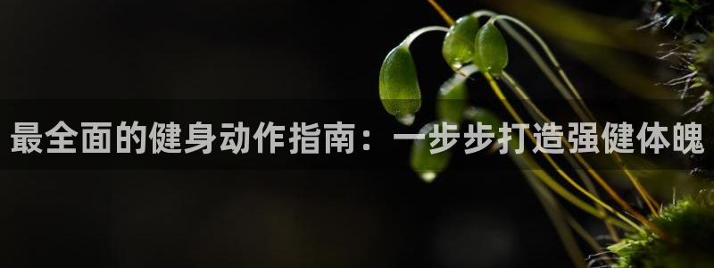 龙8国际手机版下载