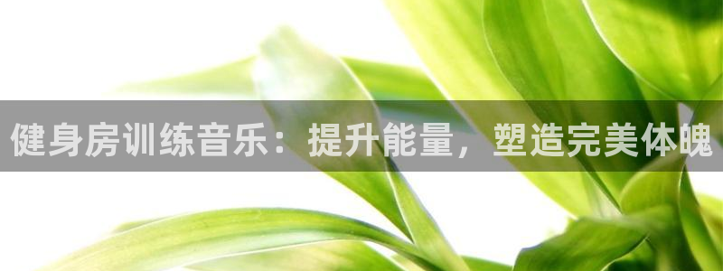 龙8国际官方网站龙8国际pt老虎机