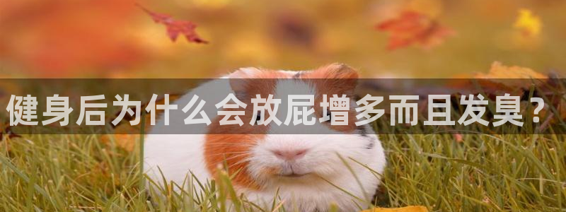 龙8国际提现被黑