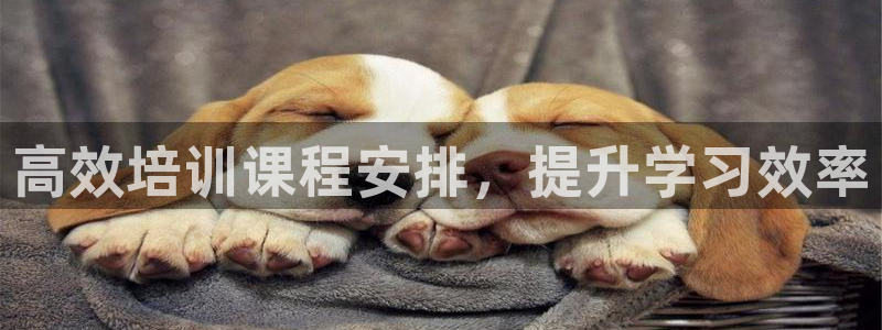 龙8国际官网 点此进入
