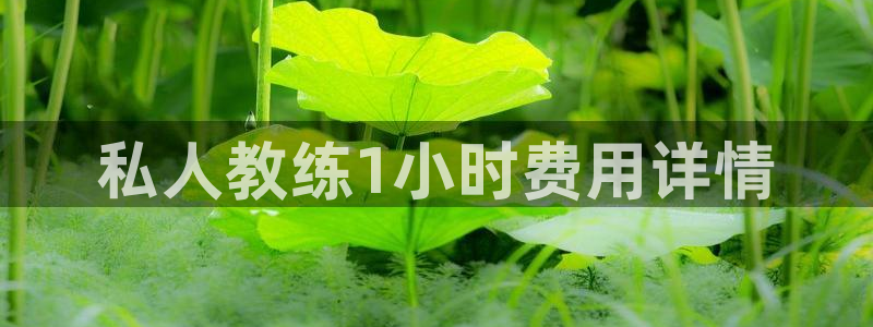 龙8-龙国际-long8-龙8游戏
